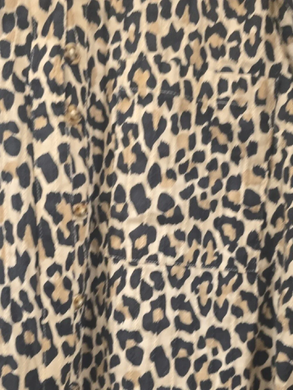 Pilcro Leopard Print Shirt in Cream and Black - Picture 4 of 8